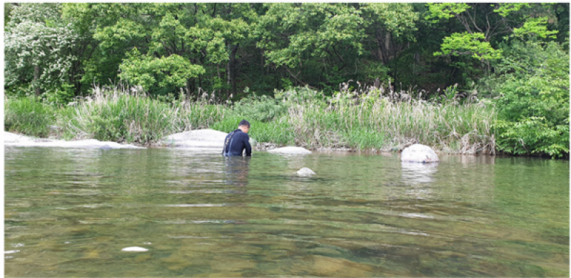다슬기액기스, 깐다슬기, 다슬기진액, 다슬기, 산꼴다슬기, 산골다슬기, 다슬기, 다슬기육수, 강원도다슬기, 강원다슬기, 강원산꼴다슬기, 다슬기원액, 깐다슬기, 다슬기 기름, 다슬기 진육수